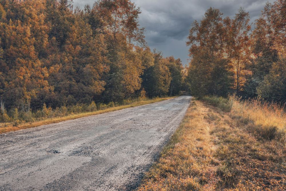 Photograph by Александр Данилов