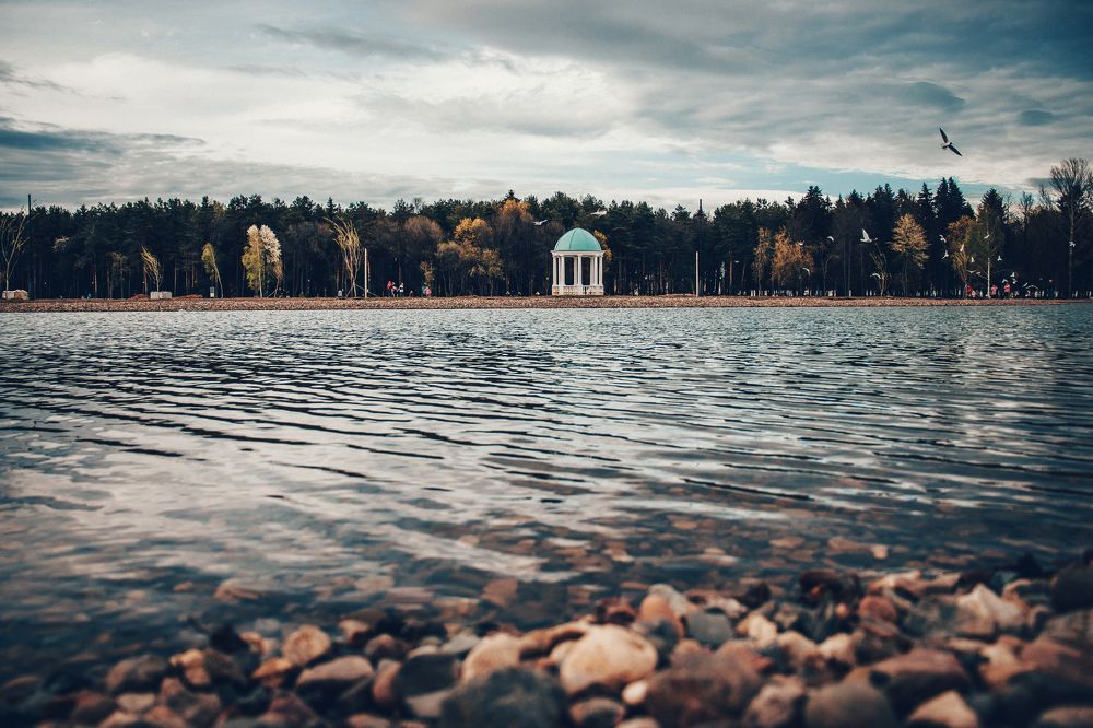 Photograph by Александр Данилов