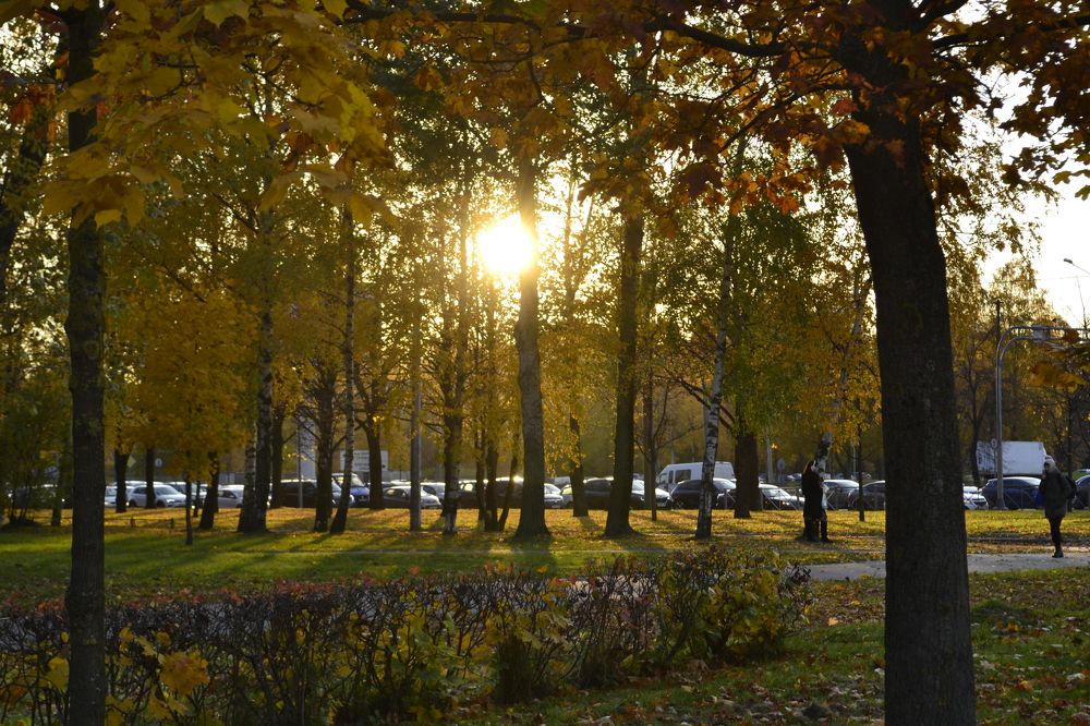 Photograph by Михайлова Альфия