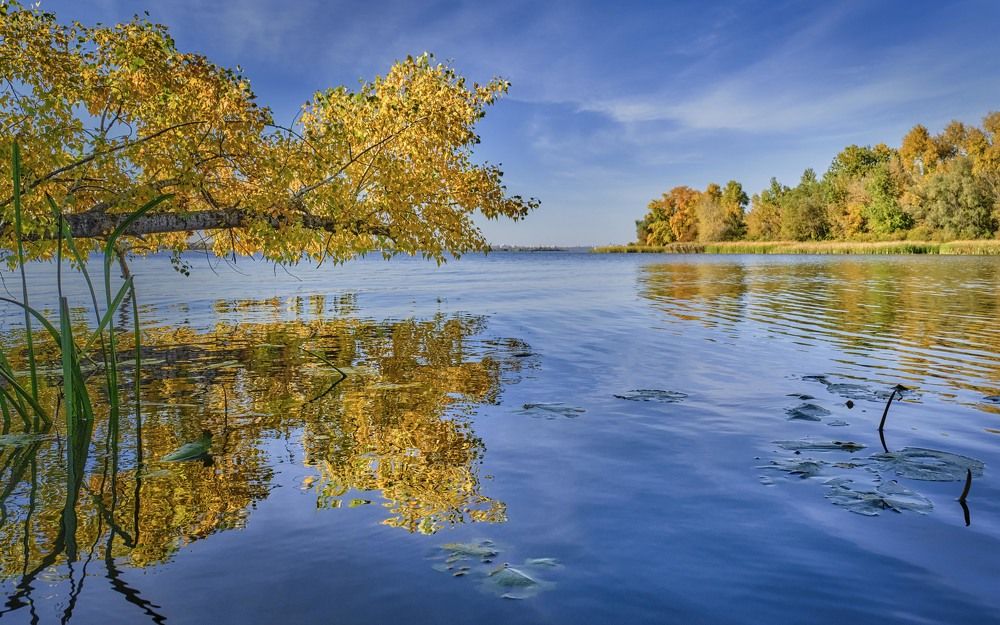 Photograph by Александр