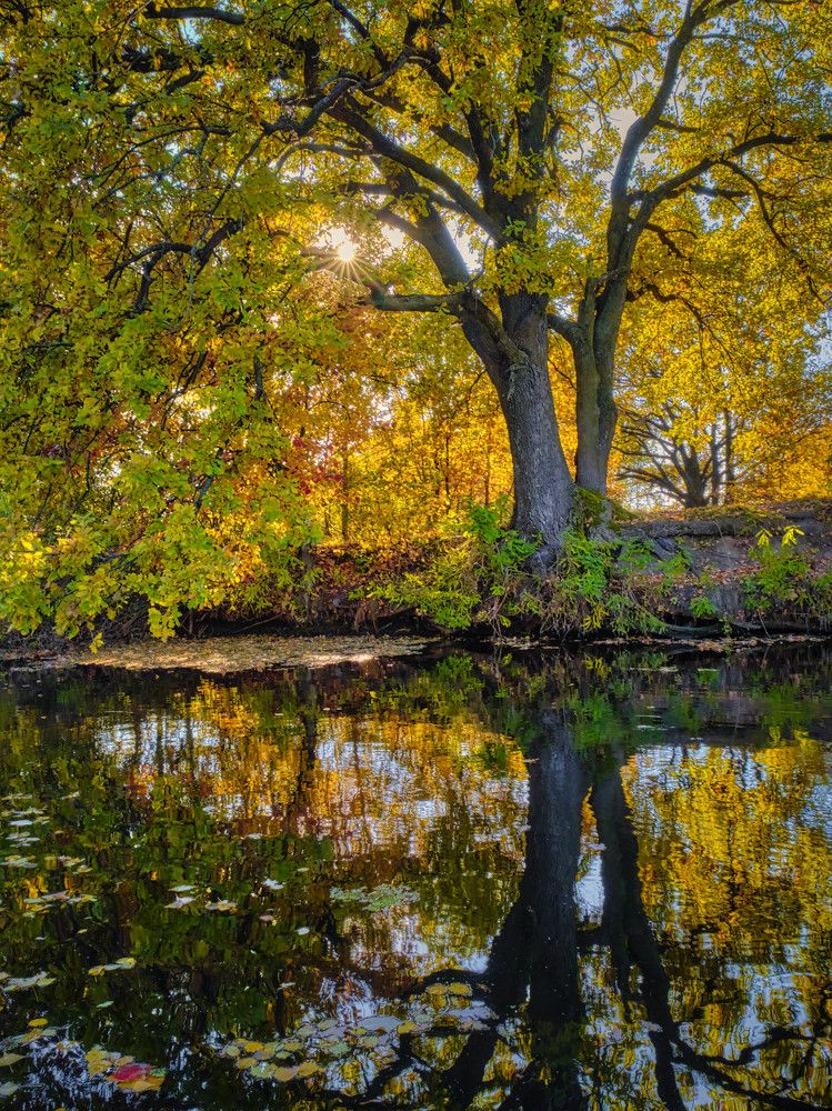 Photograph by Александр