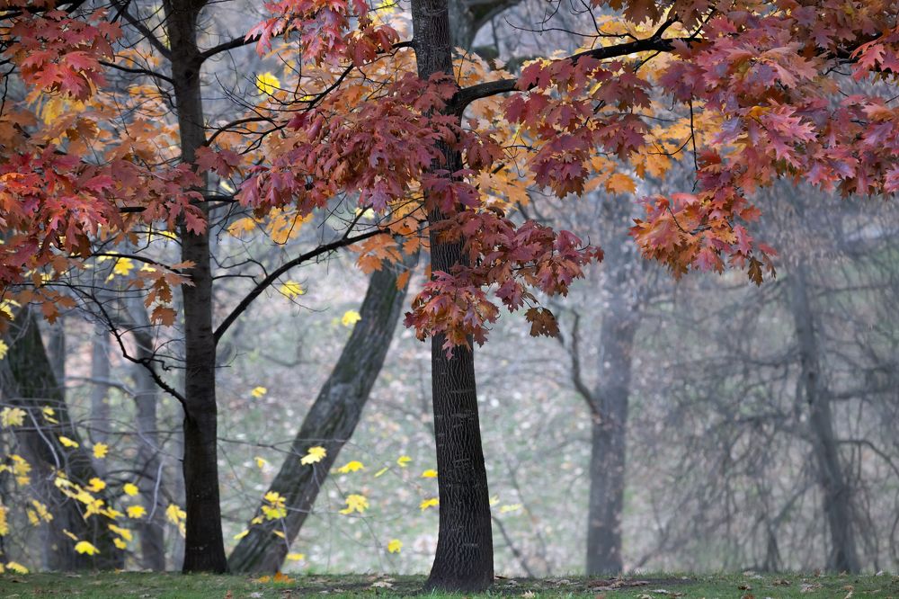 Фотография автора Dmitry Finkel