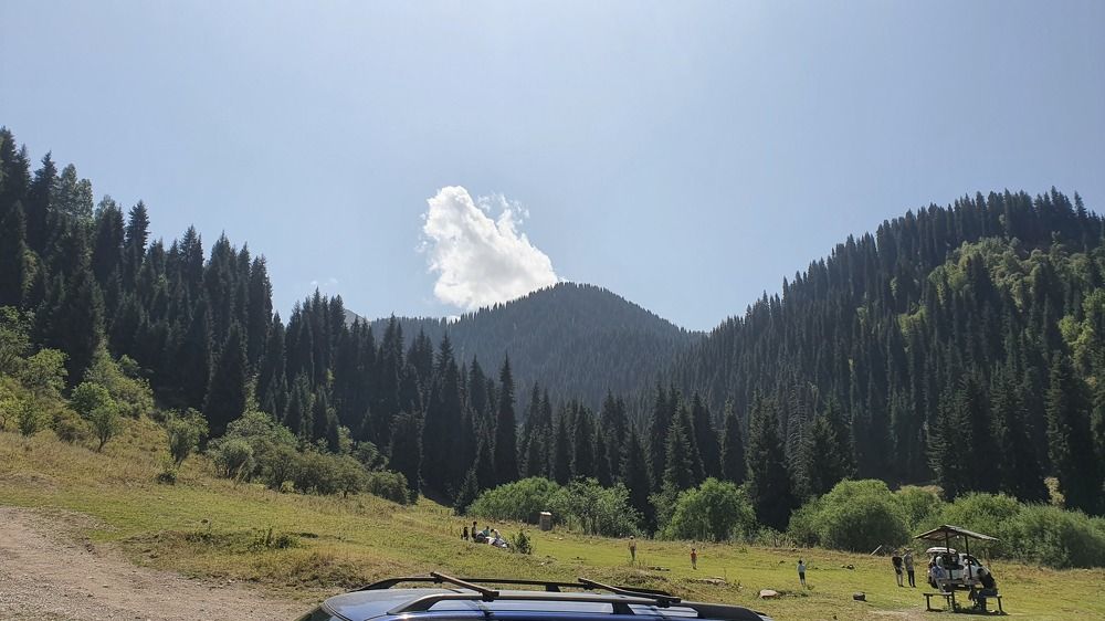 Photograph by Александр Потапов