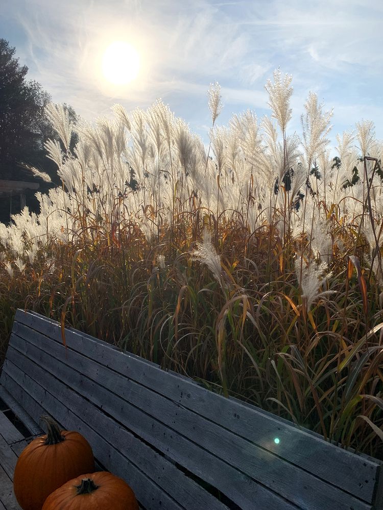 Photograph by Liliana Grup