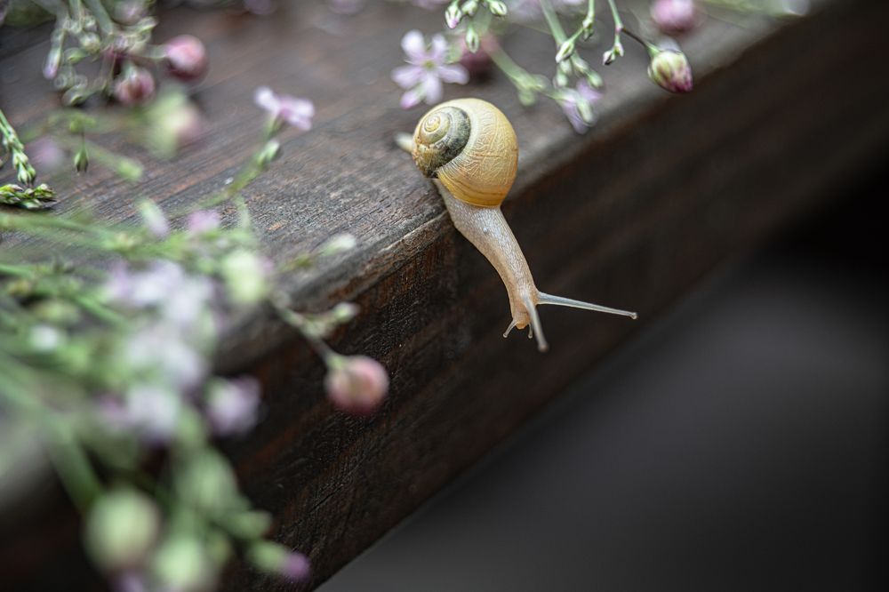 Photograph by Оксана Копылова