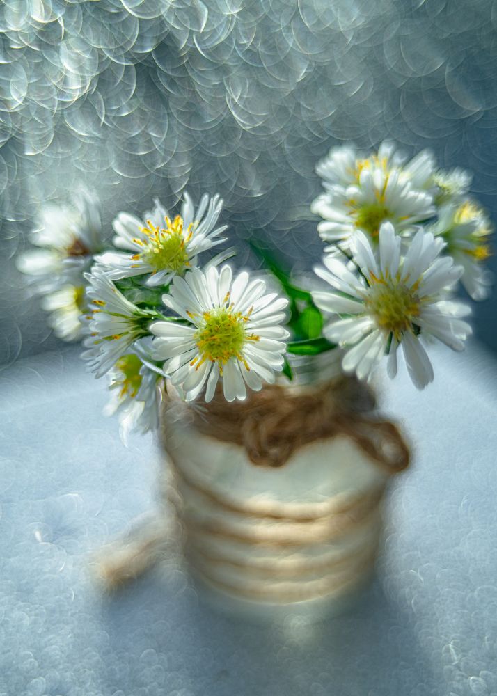 Photograph by Оксана Копылова