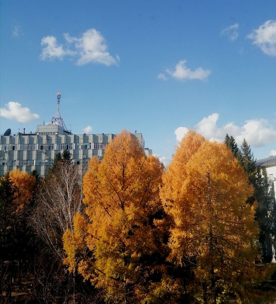 Photograph by Елизавета Загудаева