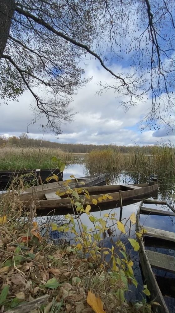 Photograph by танюшка русак (сыч)