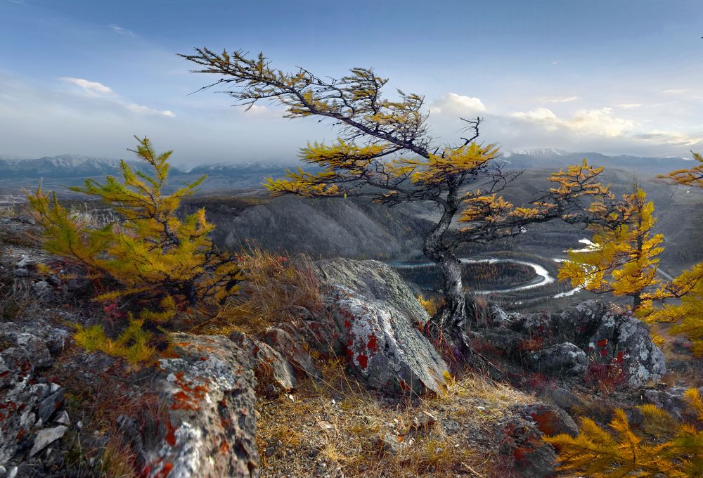 Photograph by Светлана Крат