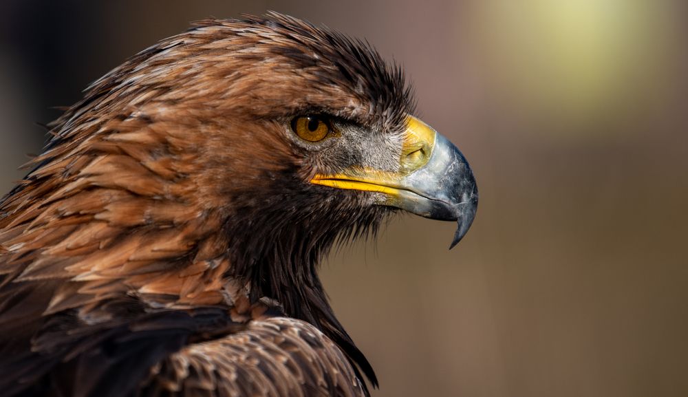 Photograph by Sergey Puponin