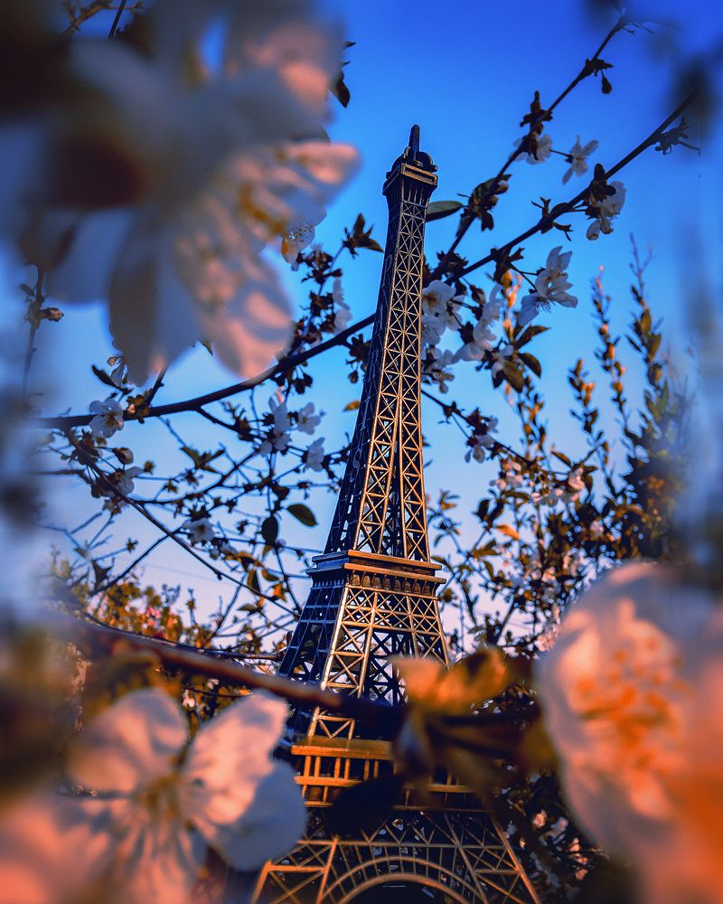 Photograph by Виталий Шкадинов