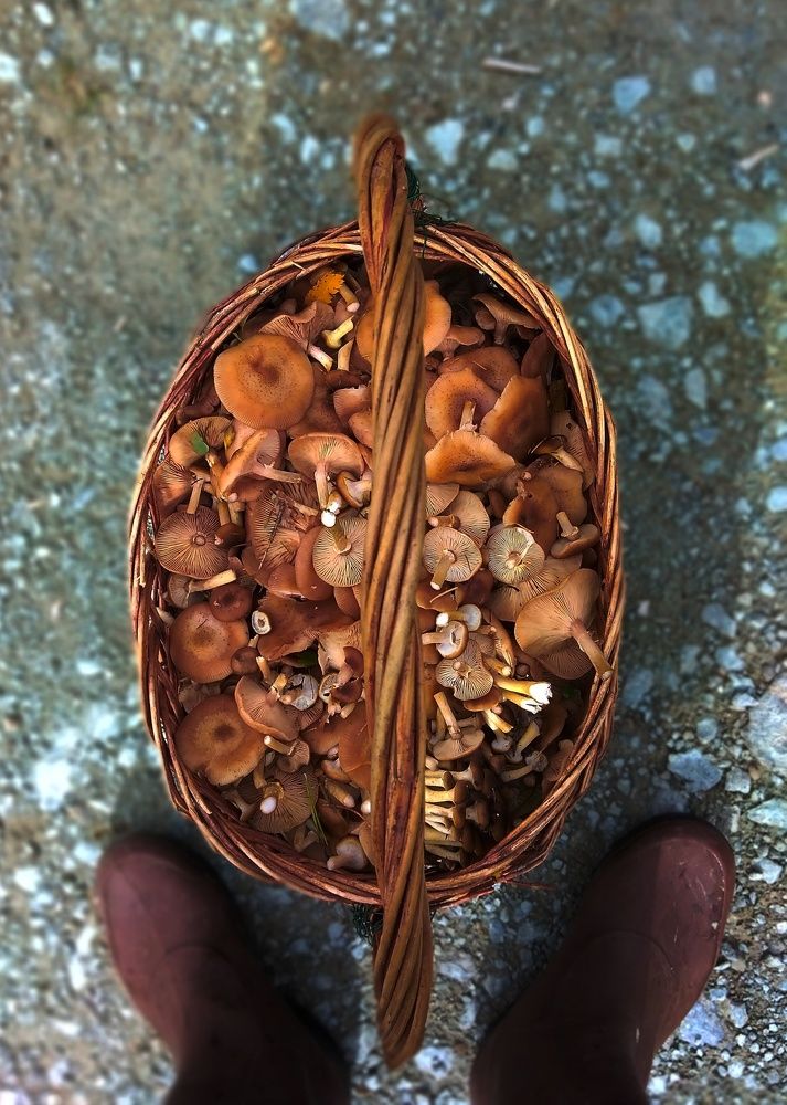 Photograph by Кирилл Попов