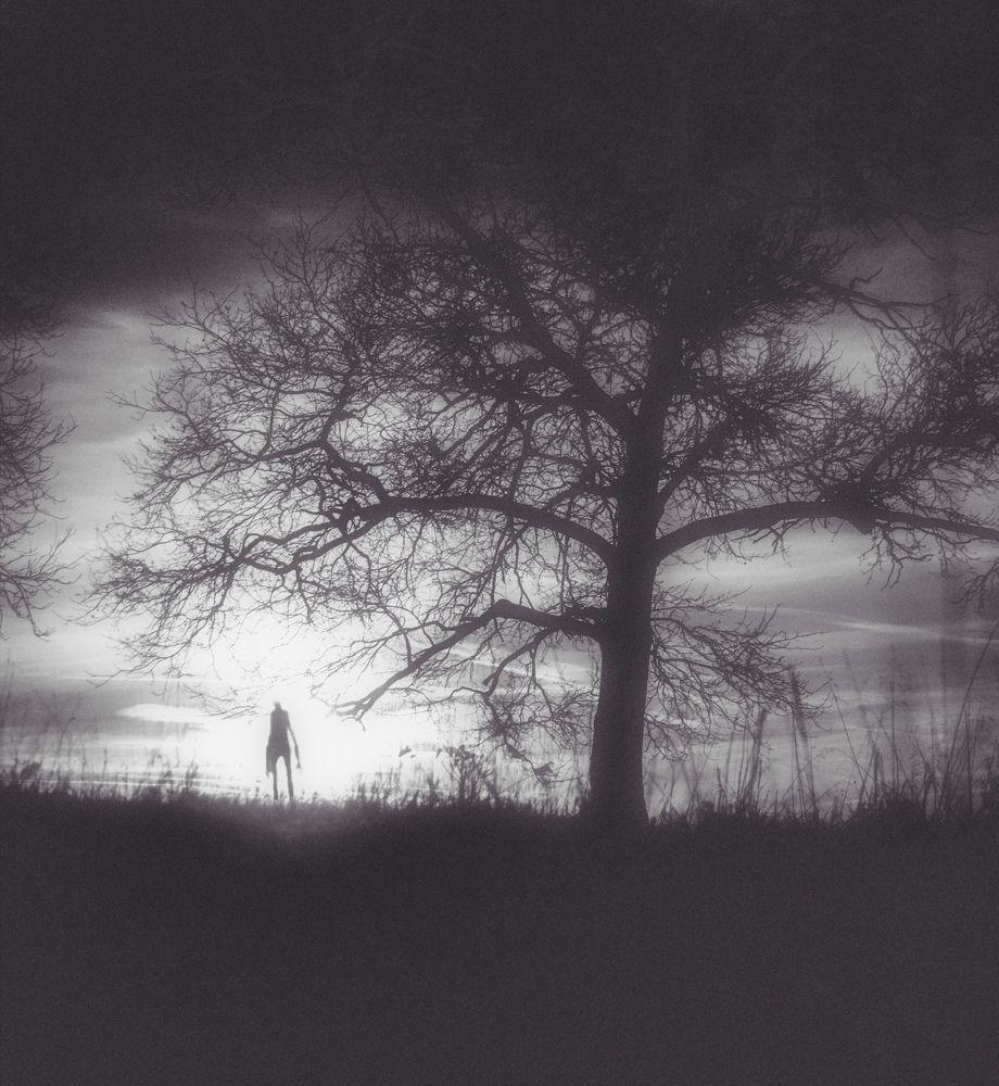 Photograph by Артём Аниськин