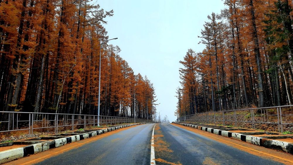 Photograph by Sergei Malyuga