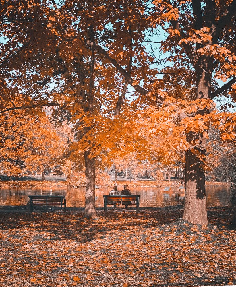 Photograph by Zdravko Trajkoski