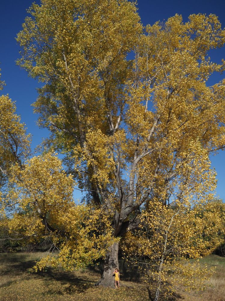 Photograph by Любовь Ершова