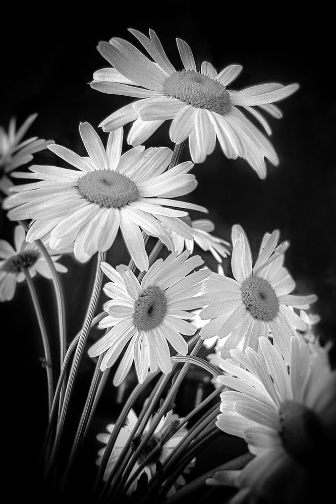 Photograph by Марина Слепова