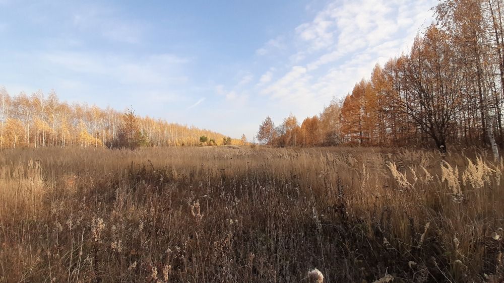 Photograph by Марина Слепова