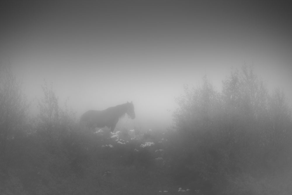 Photograph by Александр Орнатский