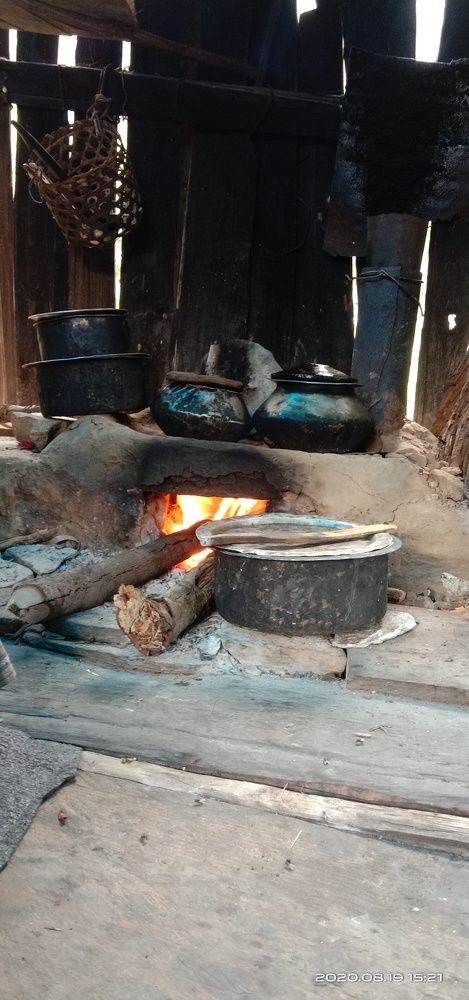 Photo #6665167