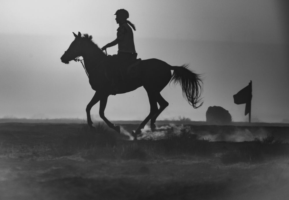 Photograph by Raed nasser