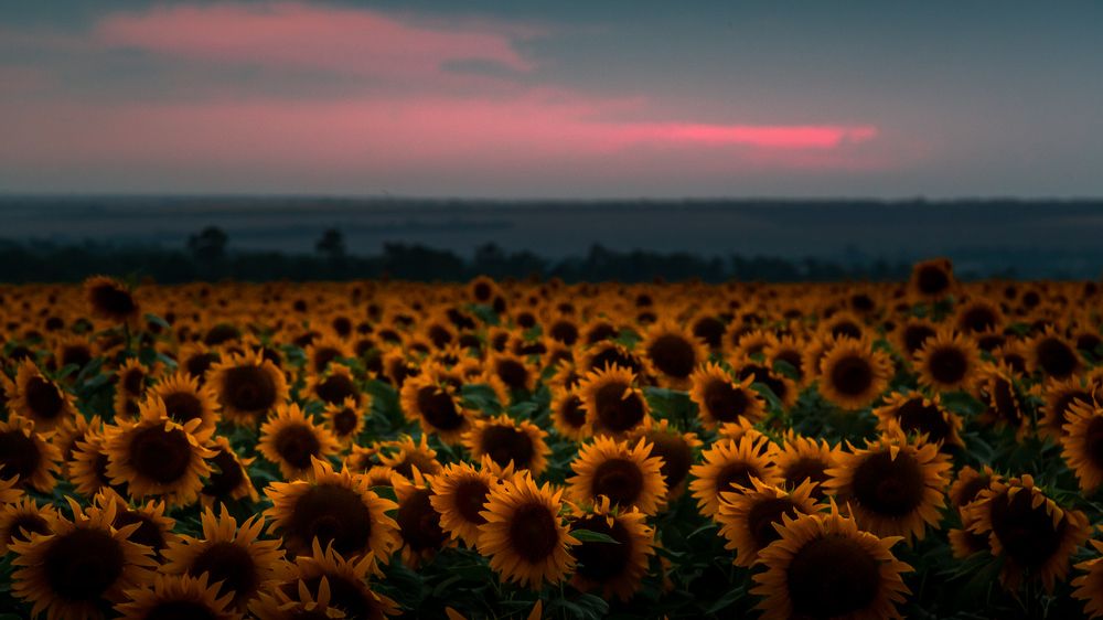 Photograph by Сергей Самарский