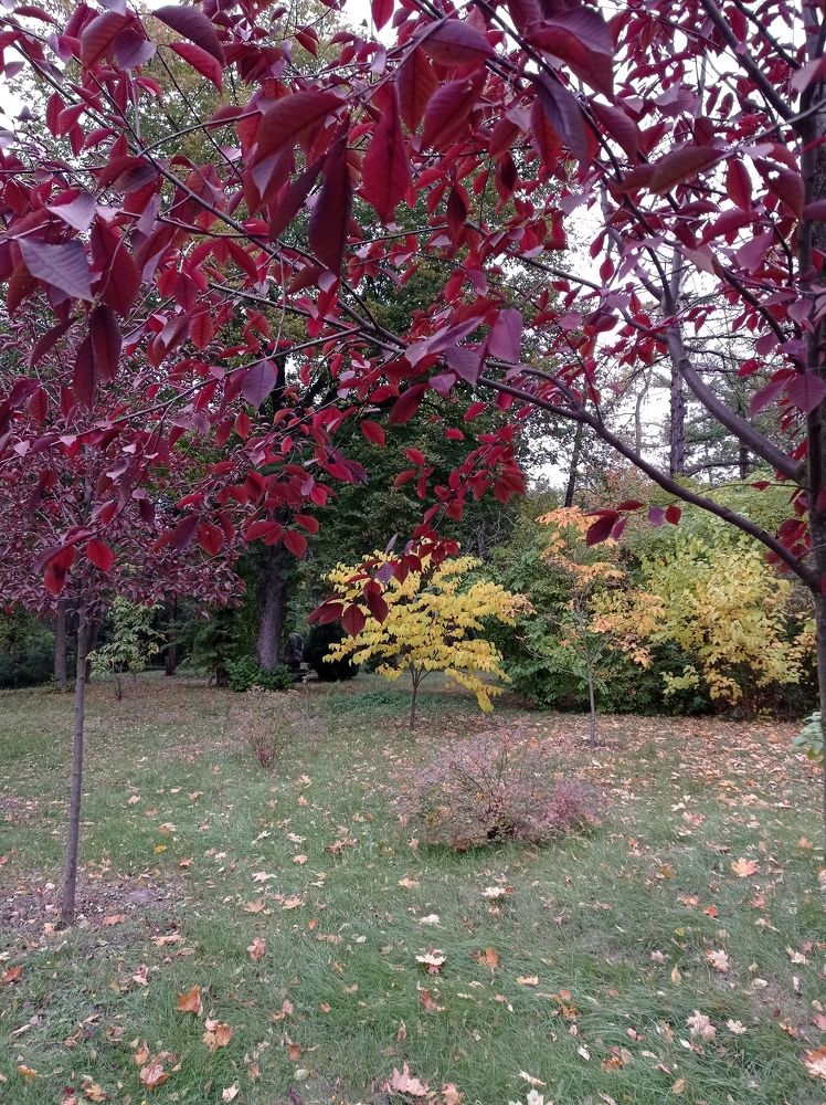 Photograph by Ирина Марченко