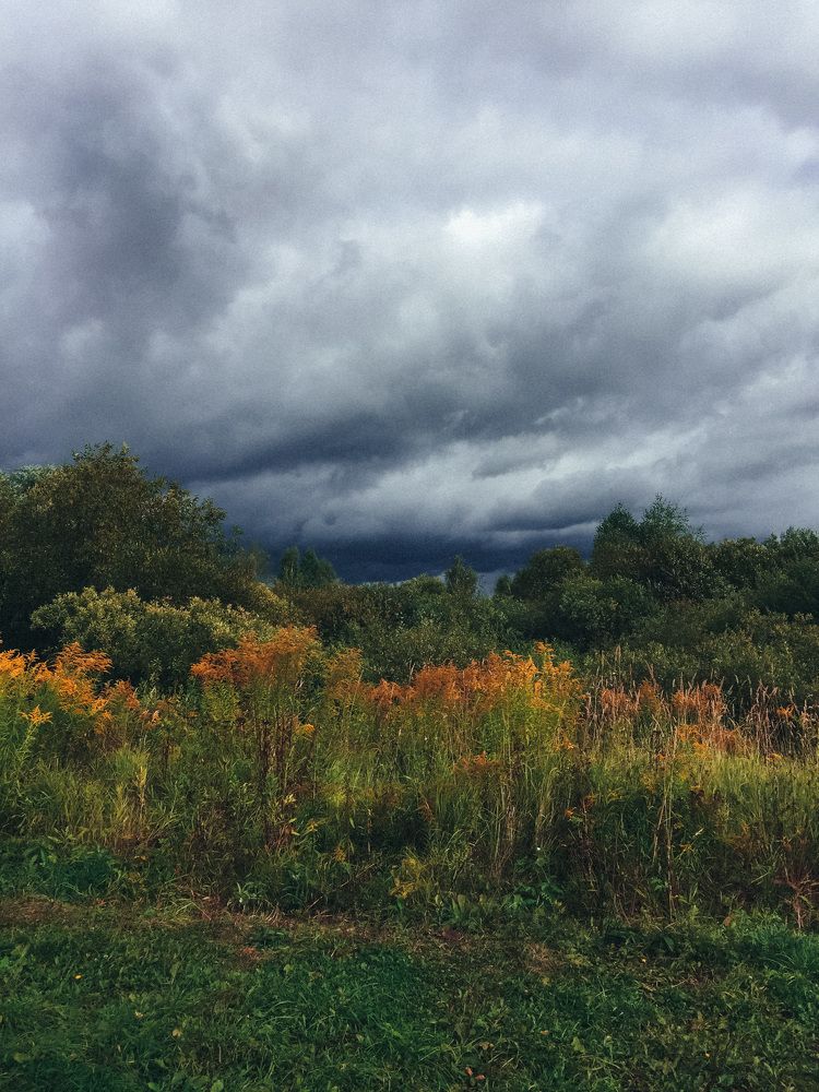 Photograph by Алиса Грюнвальд