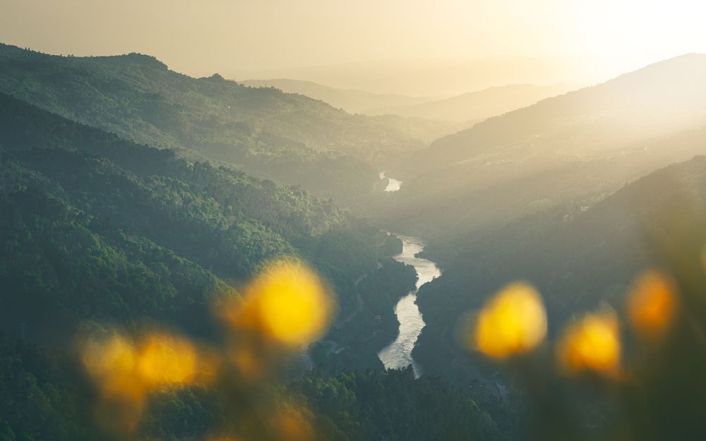 Photograph by Roberto