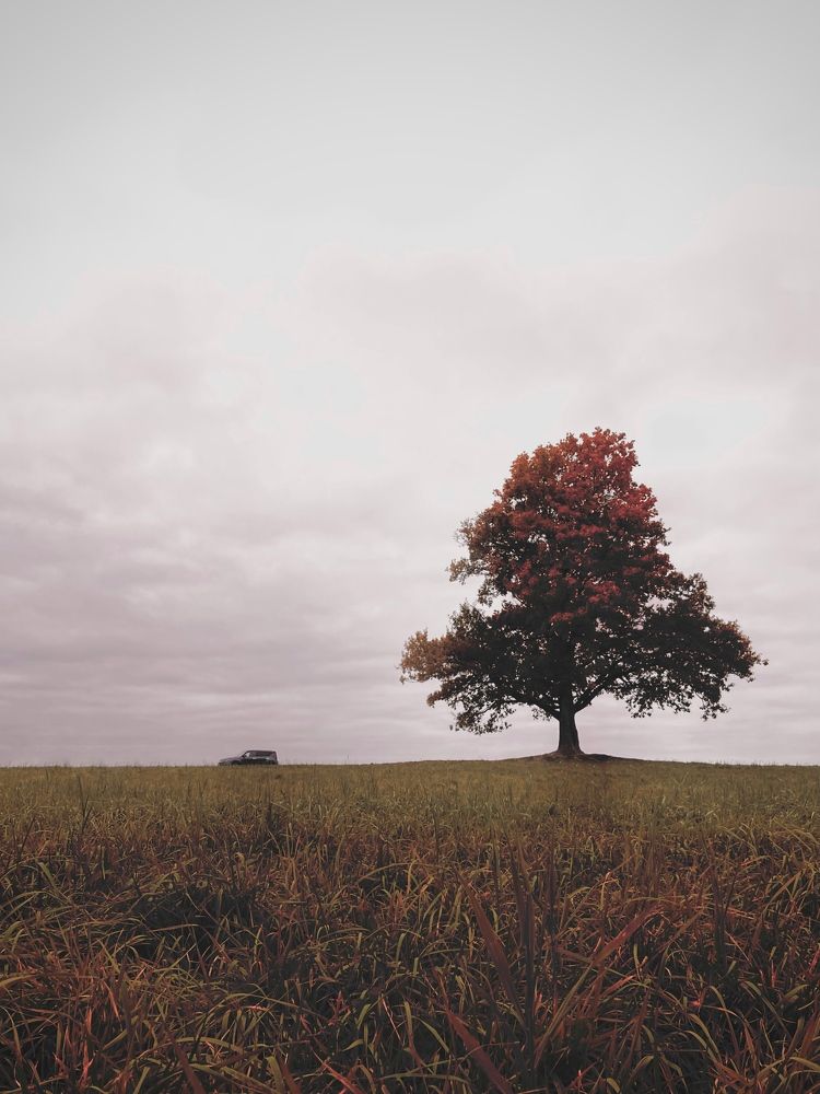 Photograph by Moan