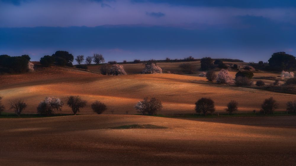 Photograph by Alberto Alonso