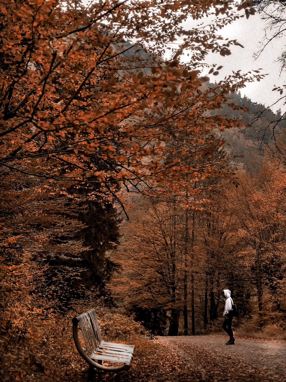 Photo #6665448