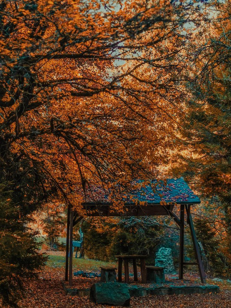 Photograph by nini tsitskishvili