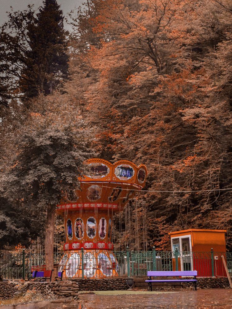 Photograph by nini tsitskishvili