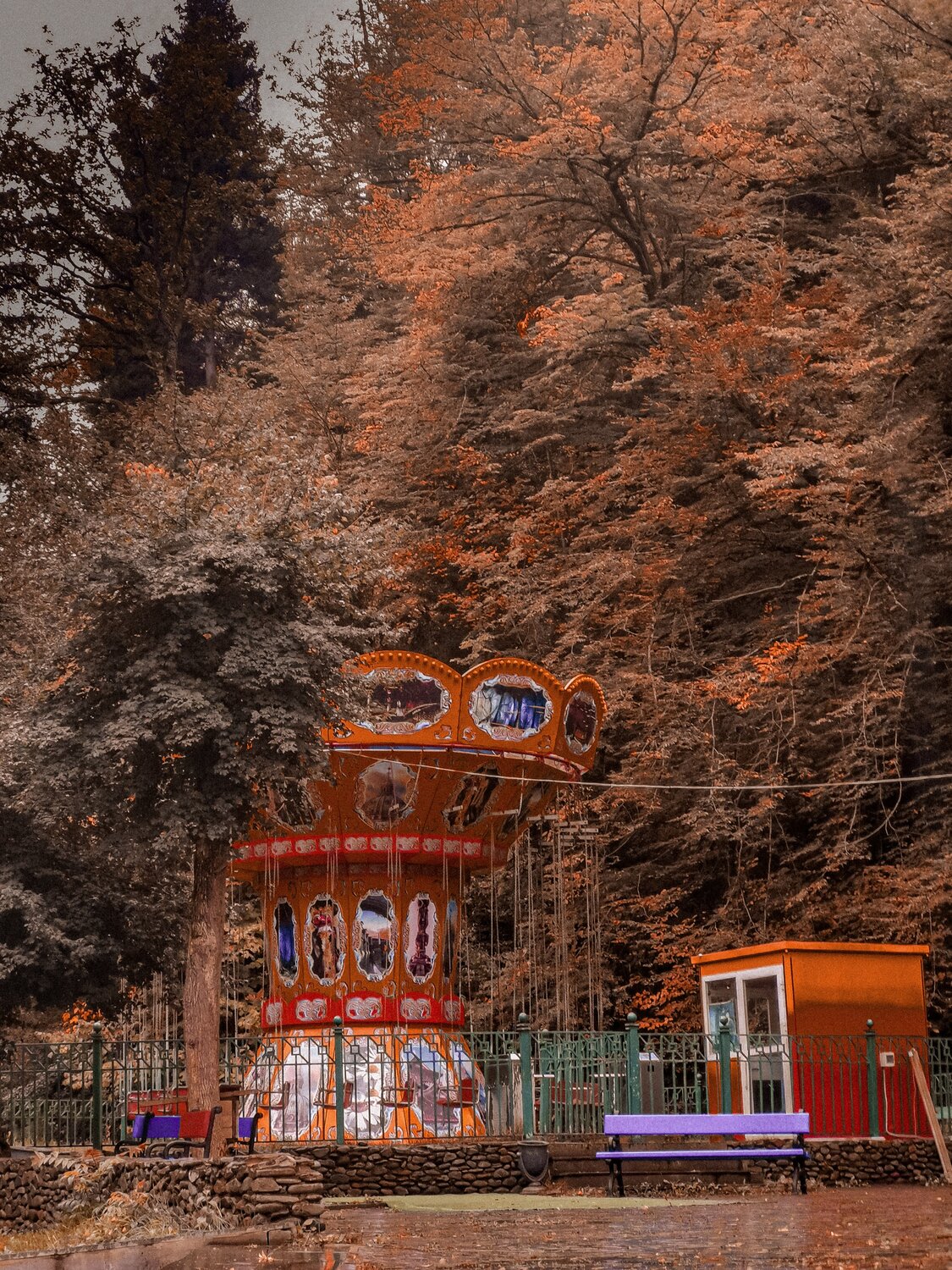 Photo #6665450
