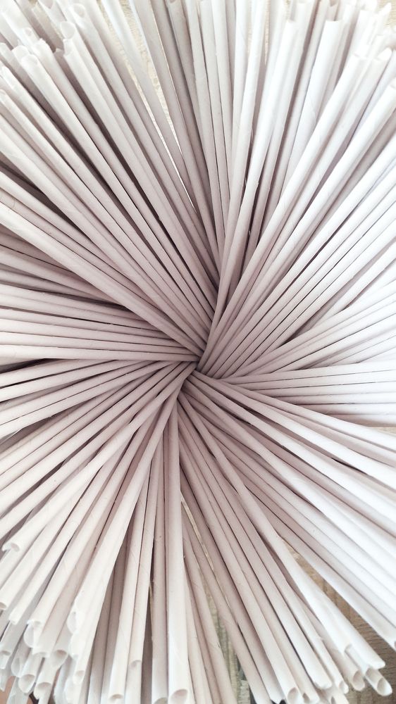 Photograph by Кадырова Анастасия