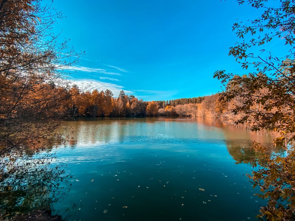 озеро в лесу