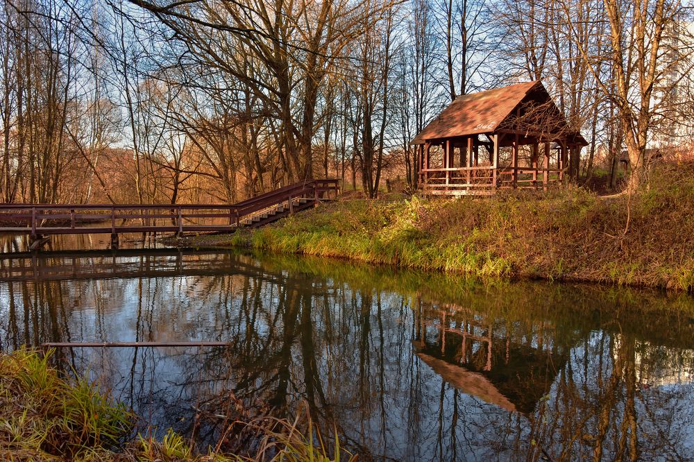 Осень в Тропарево.