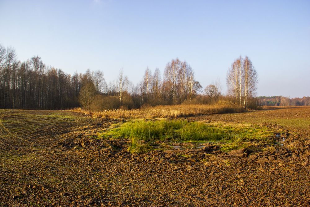 Photograph by Анна-Лаймуте Милошевич