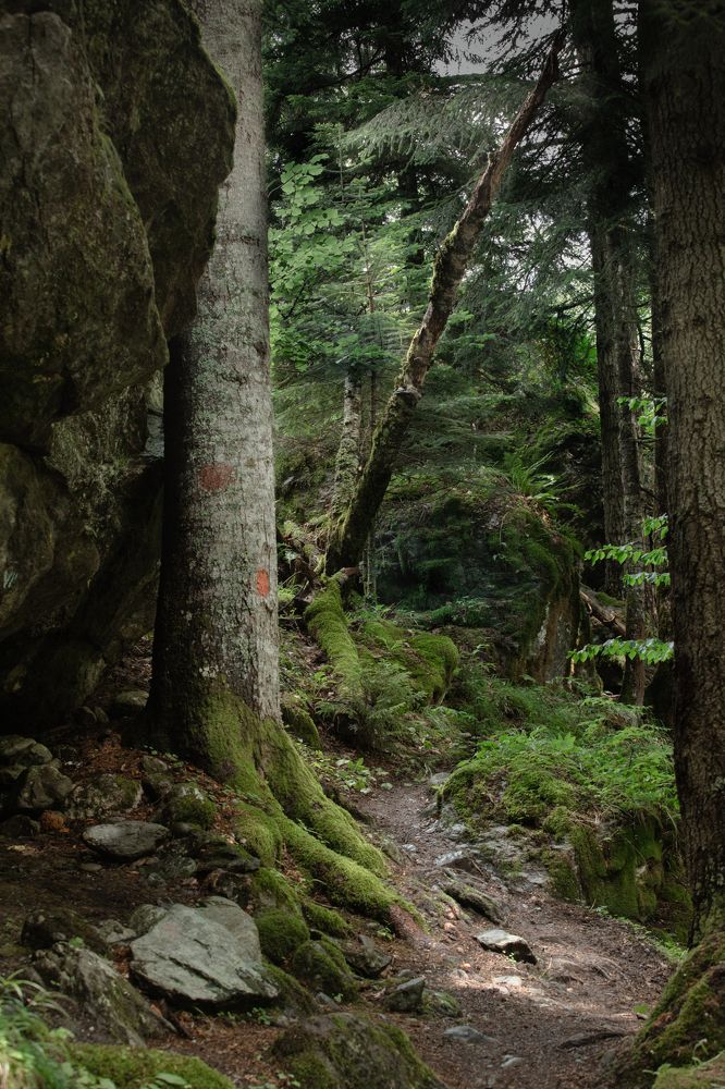 По долине реки Малая Лаба