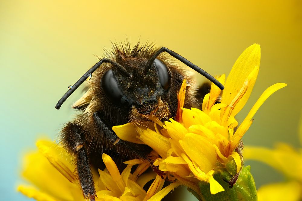 Фотография автора Андрей Шаповалов