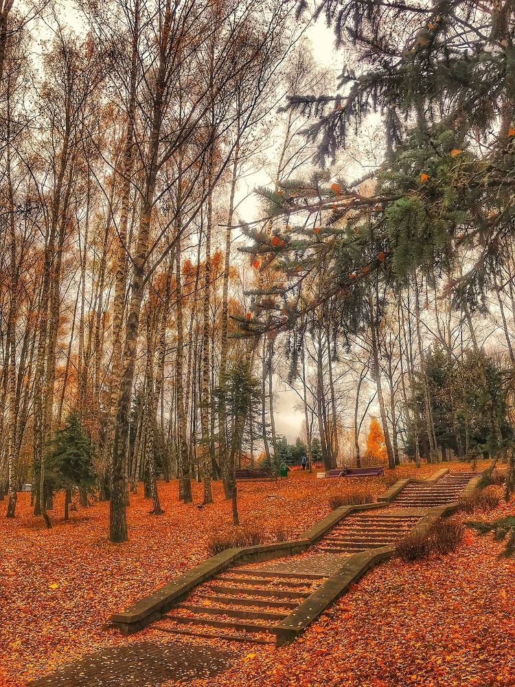 Photograph by Армен Егиян