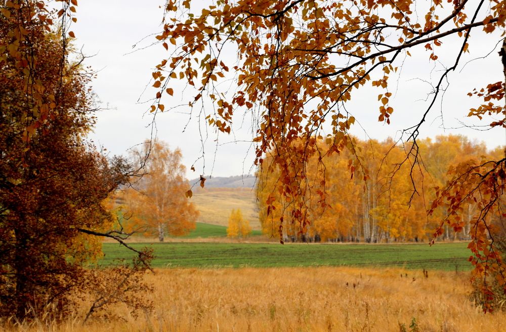 Photograph by Жанна Валиева