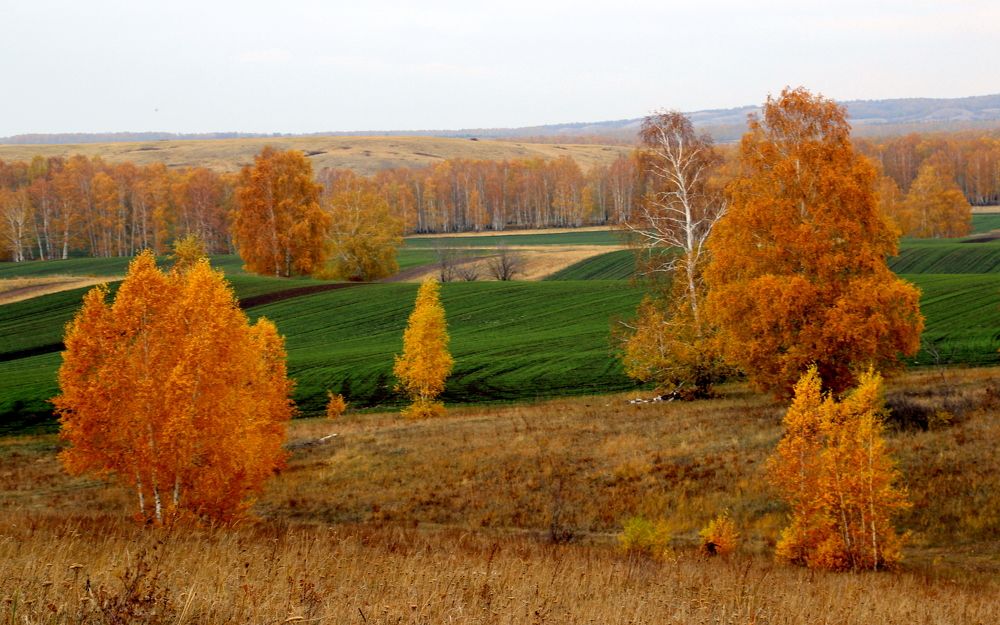 Photograph by Жанна Валиева