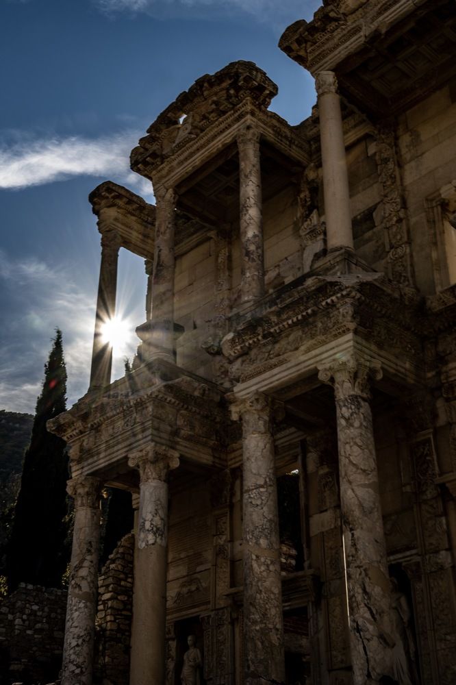 Библиотека Цельса