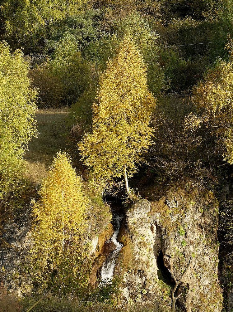 Photograph by Ираида Стародубцева