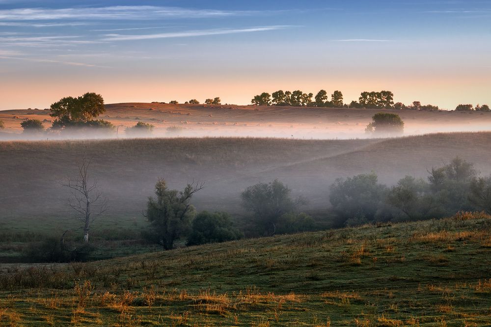Утренняя нежность...