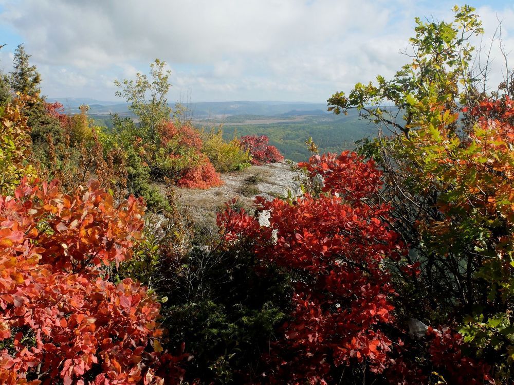 Photograph by Ираида Стародубцева