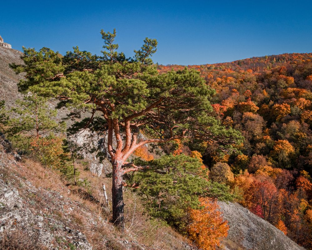 Фотография автора Андрей Баранов