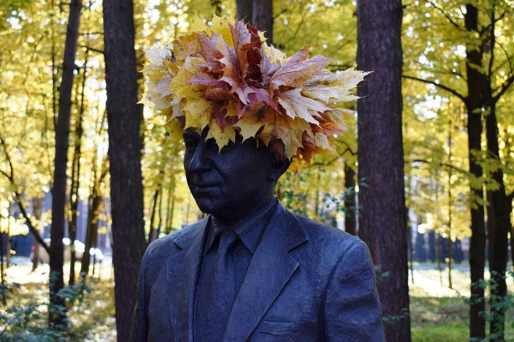 Яркая осень на улицах Дубны.